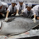 Японский ресторан купил тунца за 1,8 млн долларов 