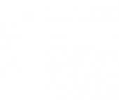 ВЕСЫ ЭЛ.ПОРЦИОННЫЕ CAS CS-10 ВЫСТ.