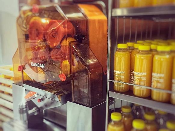 Соковыжималки для апельсинов CANCAN 38 Fresh: укрепляем организм витамином С